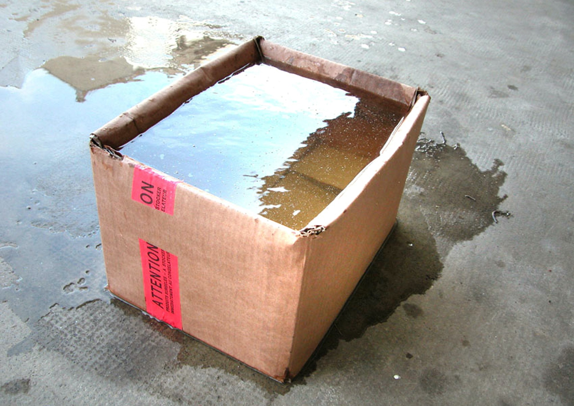 Exposition : La résistance des matériaux